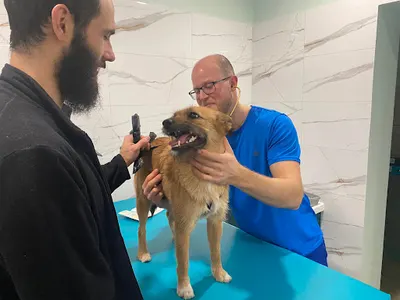 Przychodnia Weterynaryjna ETHNOVET Henryk Karasiński